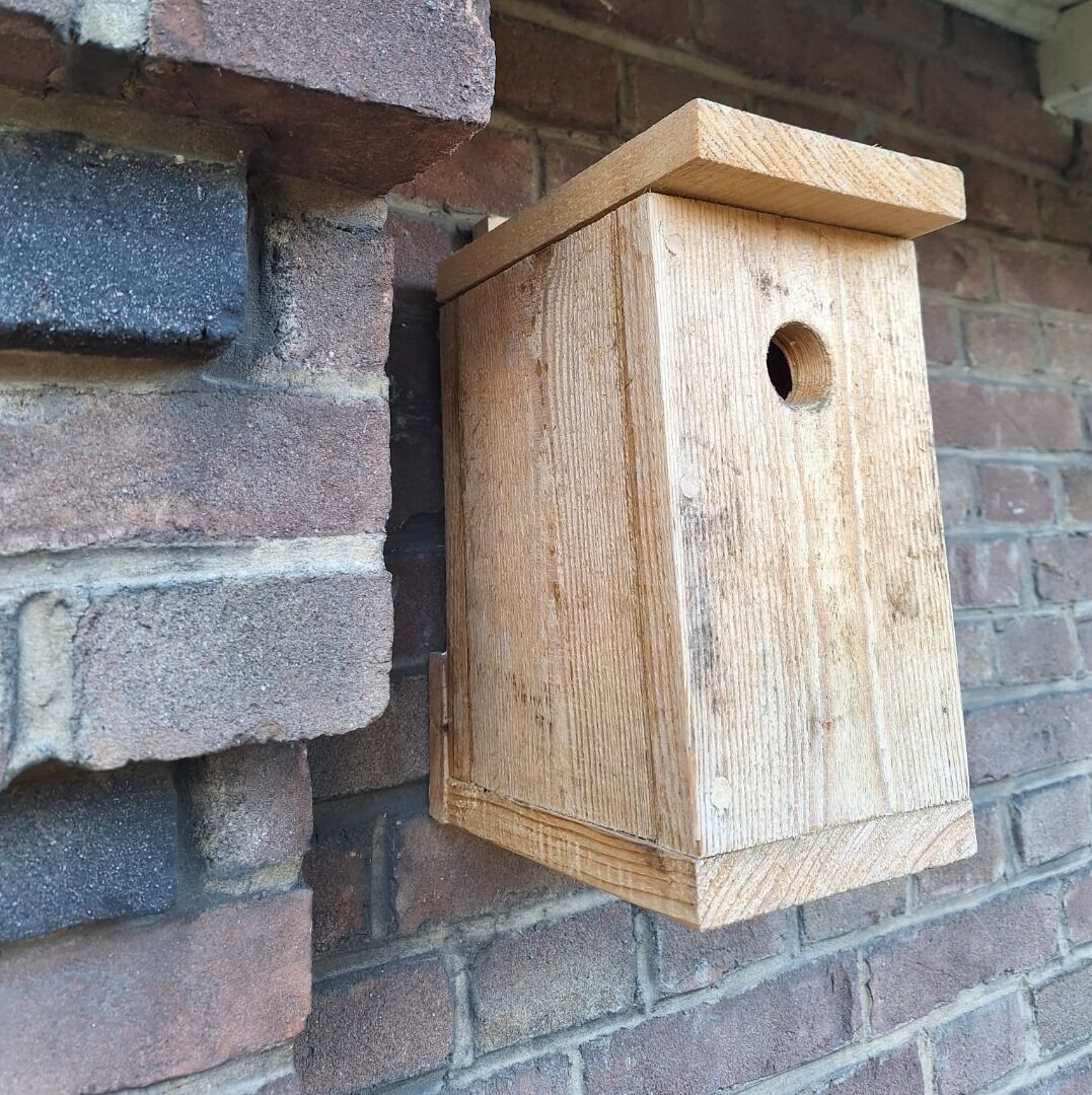 Bird house