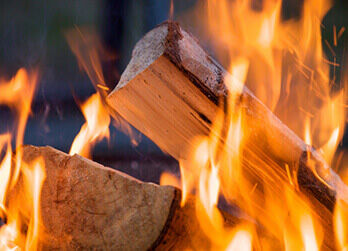 Kiln dried logs category