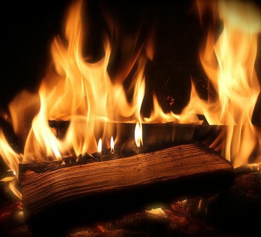 Everything about firewood