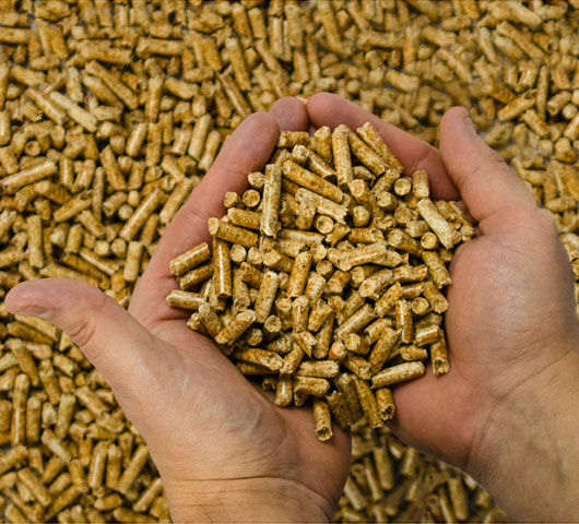 Everything about wood pellets