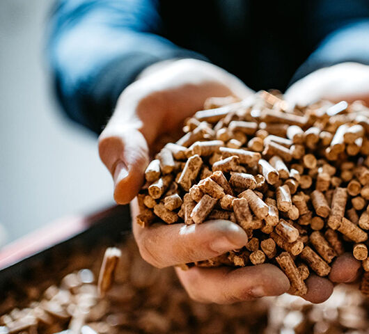 Wood pellets as cat litter