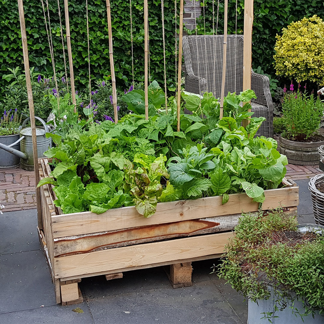 Wooden raised vegetable planter