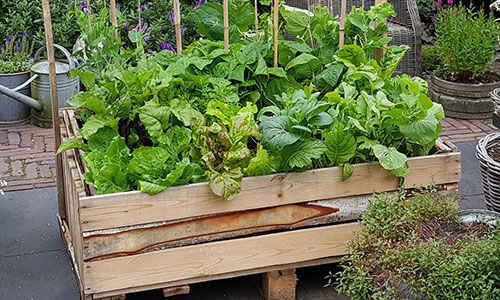 Repurposed wooden pallet